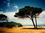Vacanze e Turismo in Costa degli Etruschi